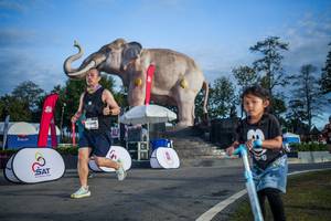 BIB: 
                            <button type="button" onclick="openModal(26541886)" class="btn btn-primary btn-sm float-right btn-popup" data-toggle="modal" data-target=".modal-high-quality">
                        <i class="fas fa-shopping-cart"></i> Add to Cart
                    </button>
                                            <button type="button" onclick="isThisMe(26541886, true)" class="btn btn-success btn-sm float-right btn-popup btn-isme hidden" data-toggle="tooltip" data-placement="bottom" title="นี่คือรูปของคุณใช่ไหม คลิกที่นี่เพื่อเอาเข้าอัลบั้ม">
                        <i class="fas fa-plus"></i> Add to album
                    </button>
                    <button type="button" onclick="isThisMe(26541886, false)" class="btn btn-warning btn-sm float-right btn-popup btn-isnotme hidden">
                        <i class="fas fa-ban"></i> Remove from album
                    </button>